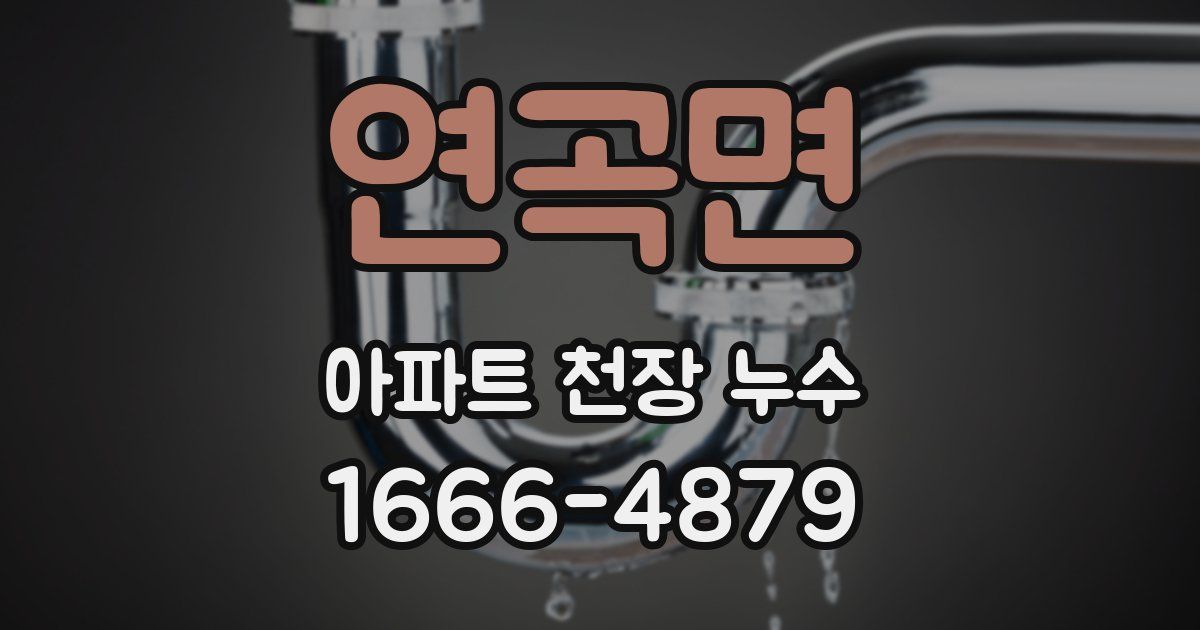 연곡면 아파트 천장 누수