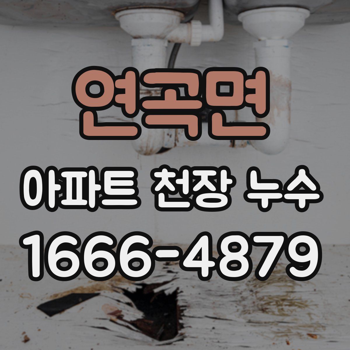 연곡면 아파트 천장 누수