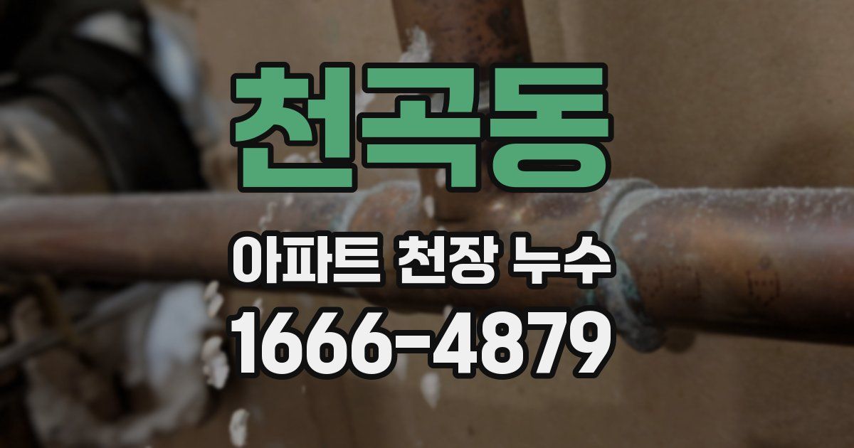 천곡동 아파트 천장 누수