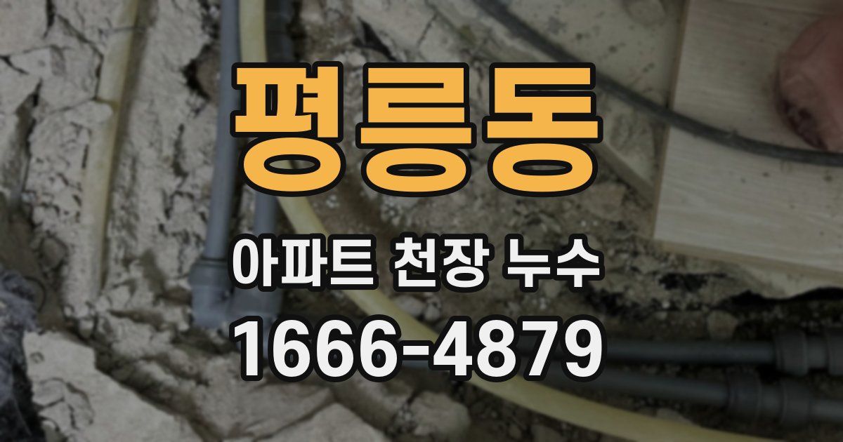평릉동 아파트 천장 누수