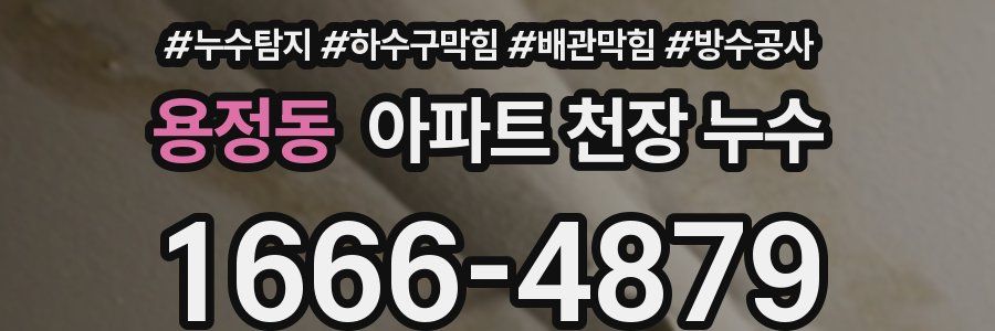 용정동 아파트 천장 누수