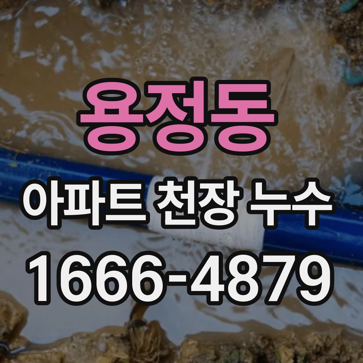 용정동 아파트 천장 누수