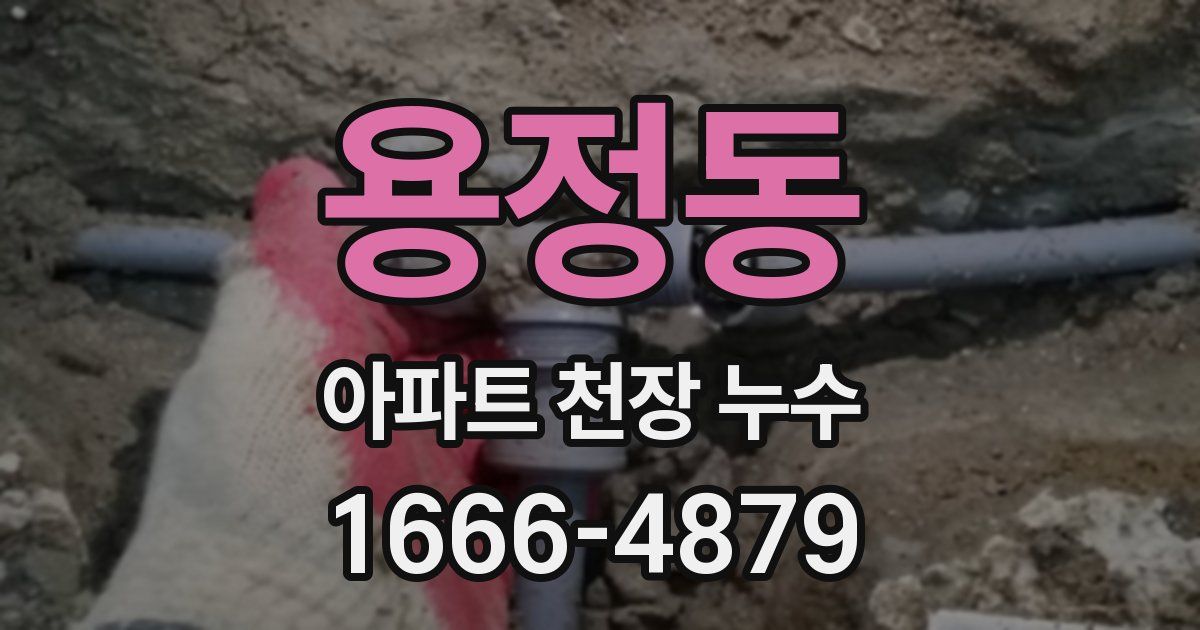 용정동 아파트 천장 누수