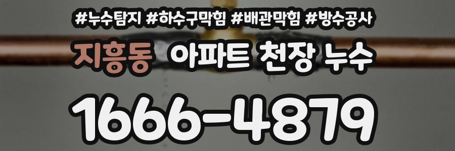 지흥동 아파트 천장 누수