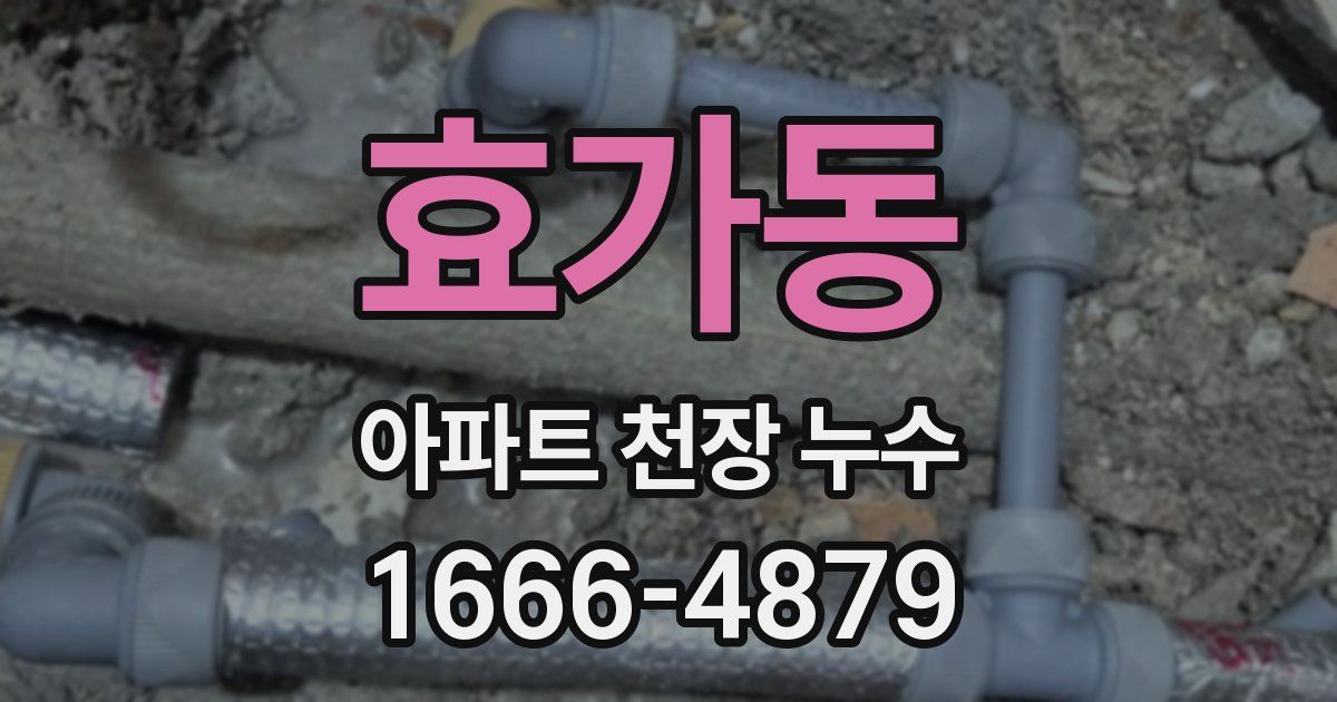 효가동 아파트 천장 누수