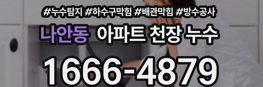 나안동 아파트 천장 누수