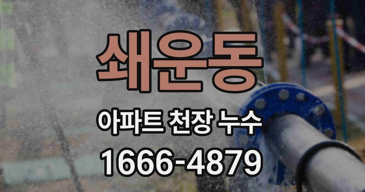 쇄운동 아파트 천장 누수