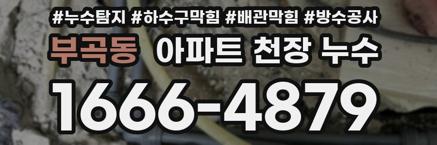 부곡동 아파트 천장 누수