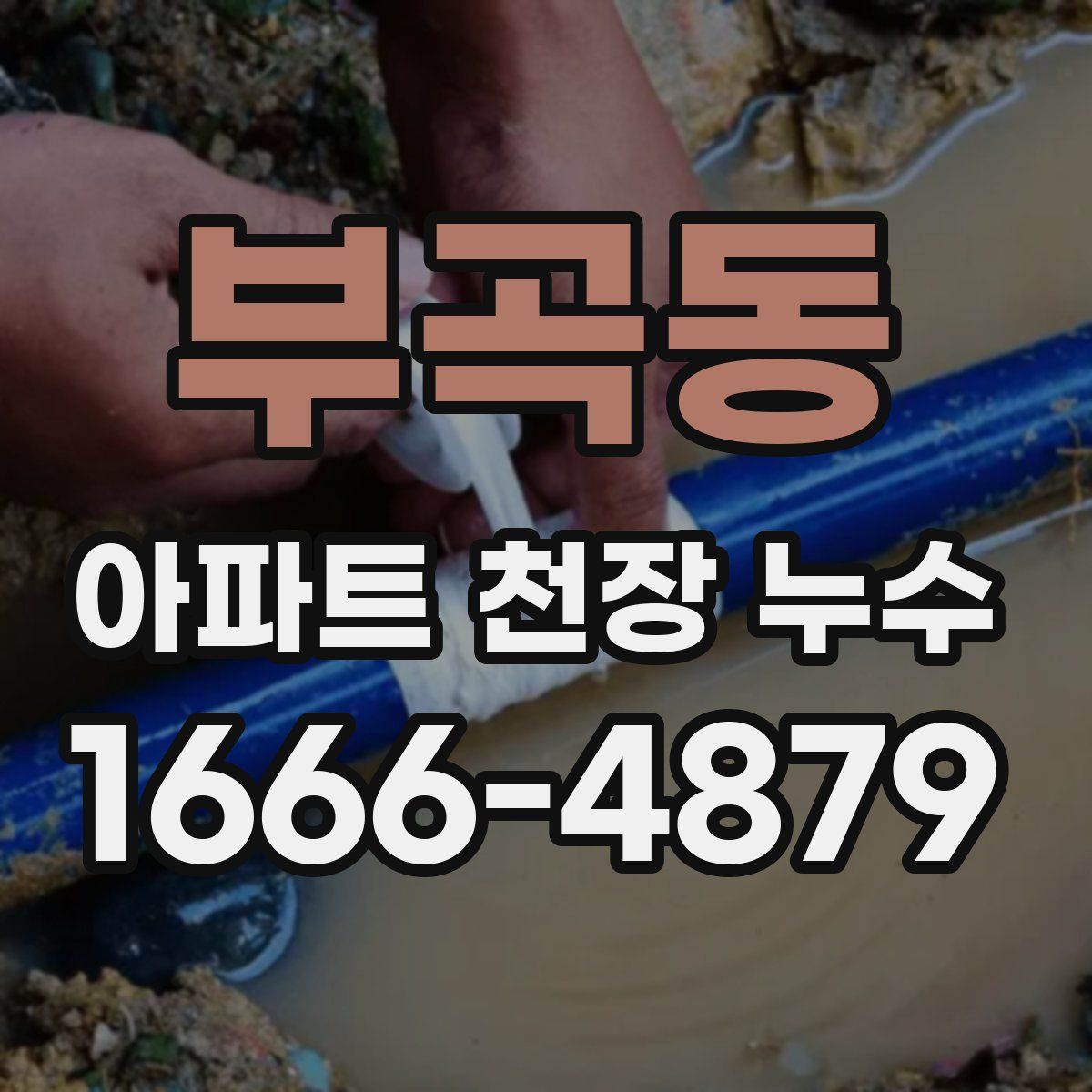 부곡동 아파트 천장 누수