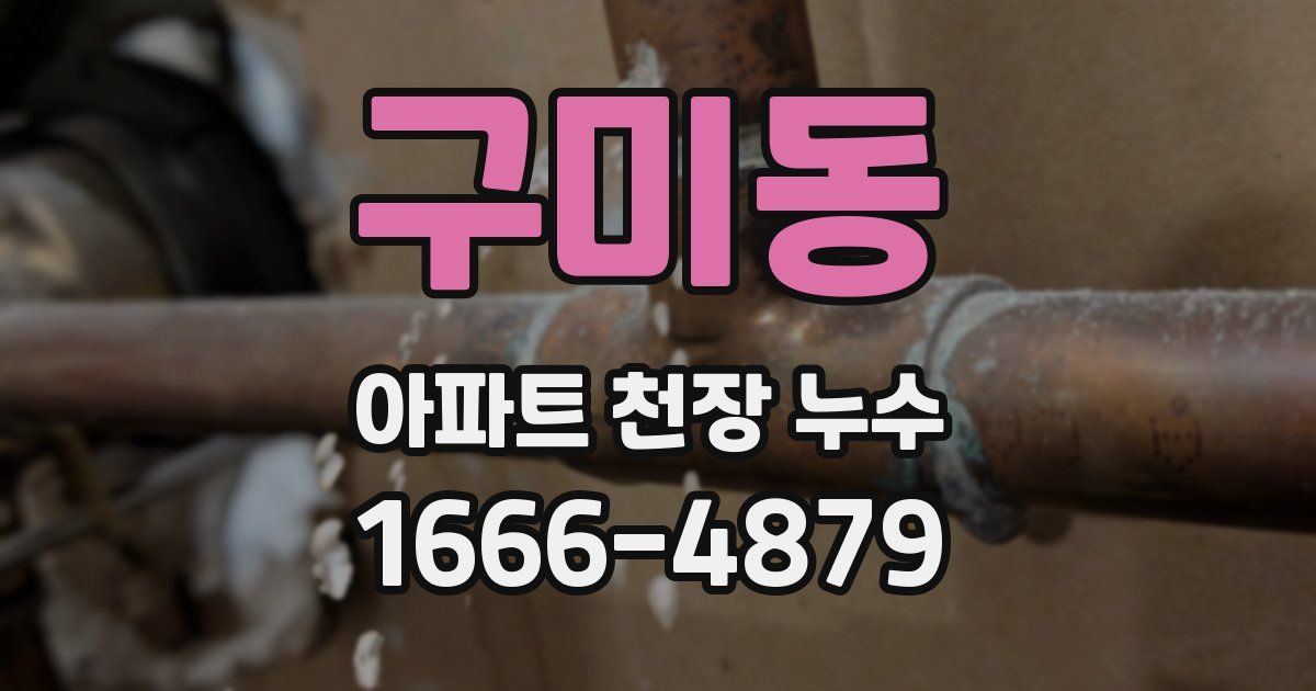 구미동 아파트 천장 누수