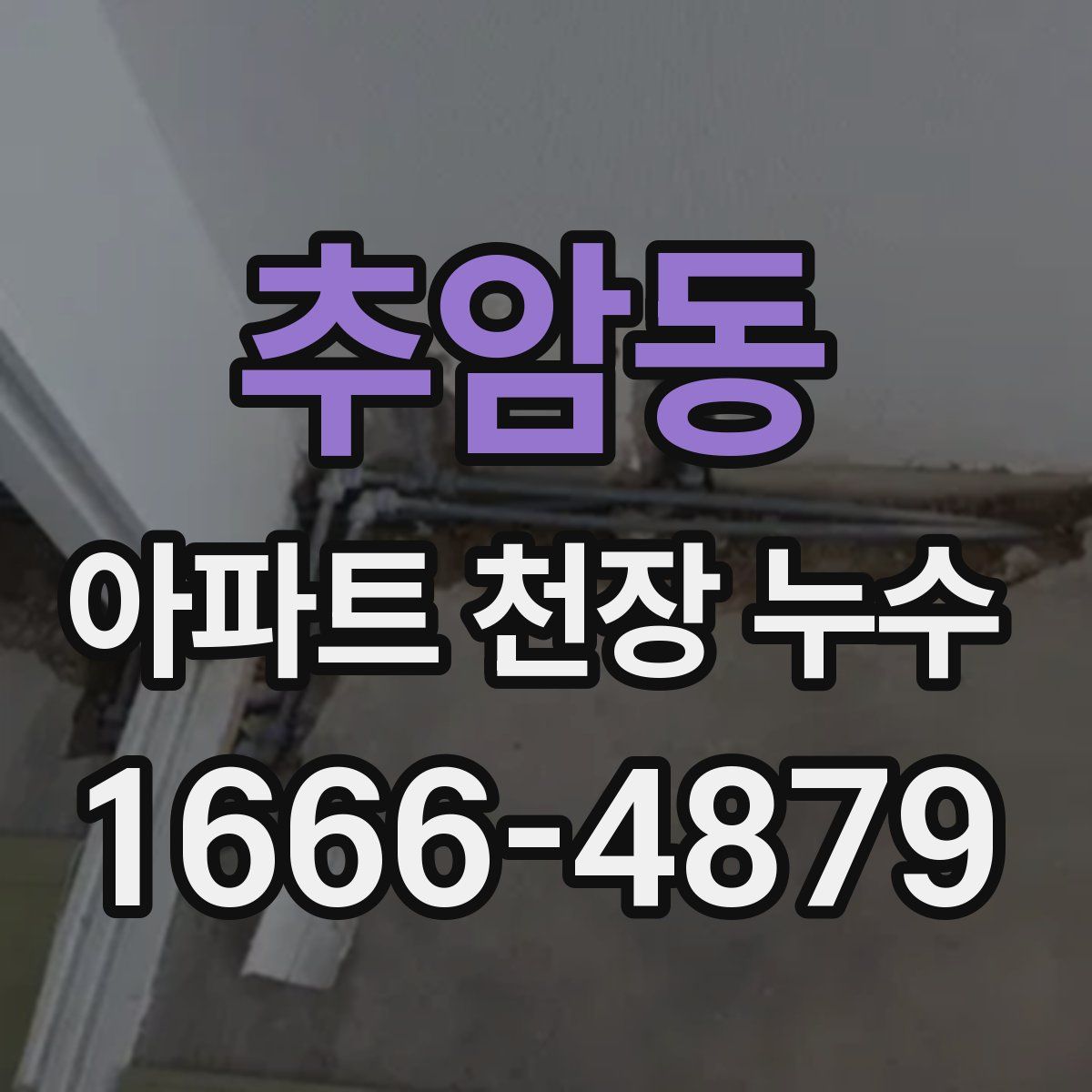 추암동 아파트 천장 누수