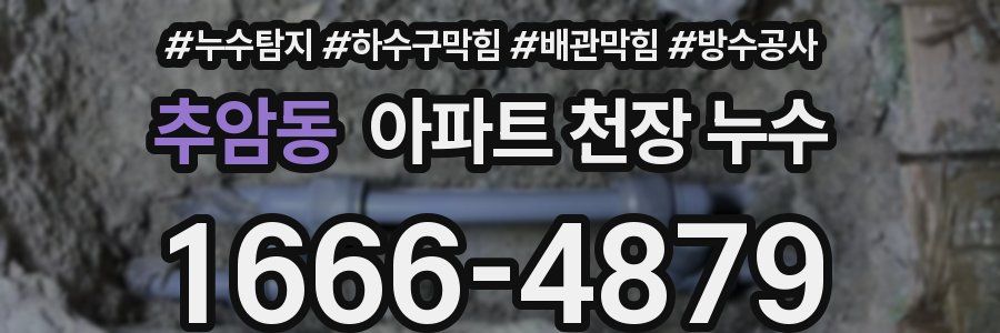 추암동 아파트 천장 누수