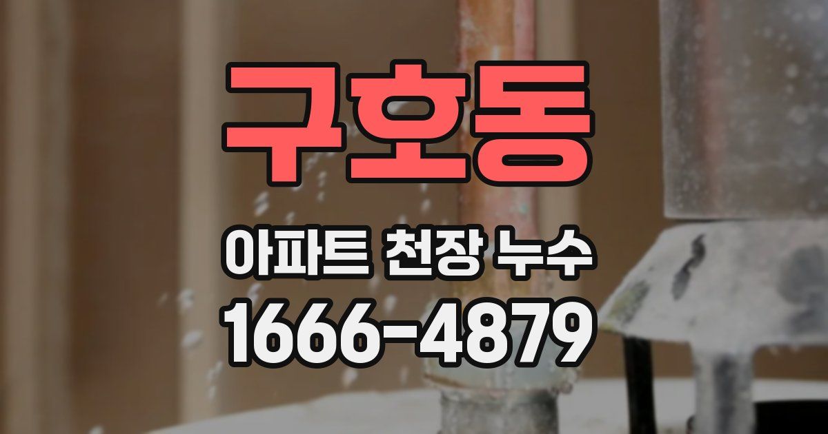 구호동 아파트 천장 누수