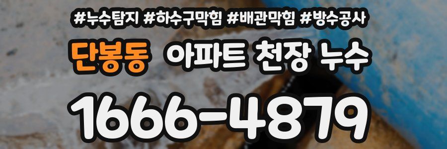단봉동 아파트 천장 누수