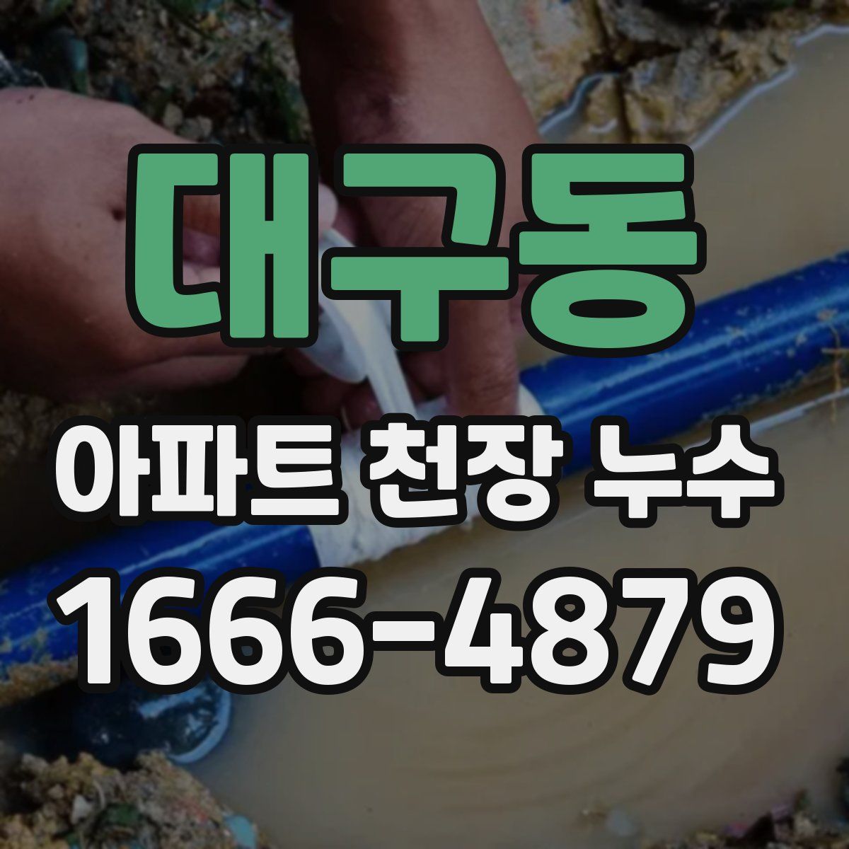 대구동 아파트 천장 누수