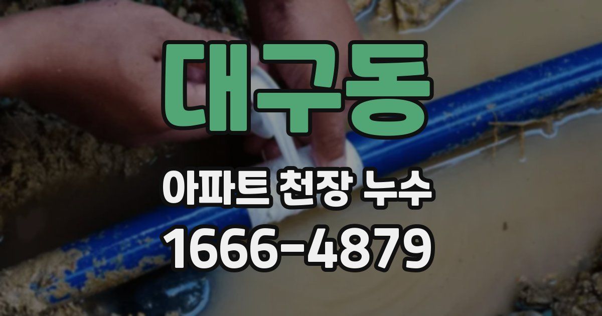 대구동 아파트 천장 누수