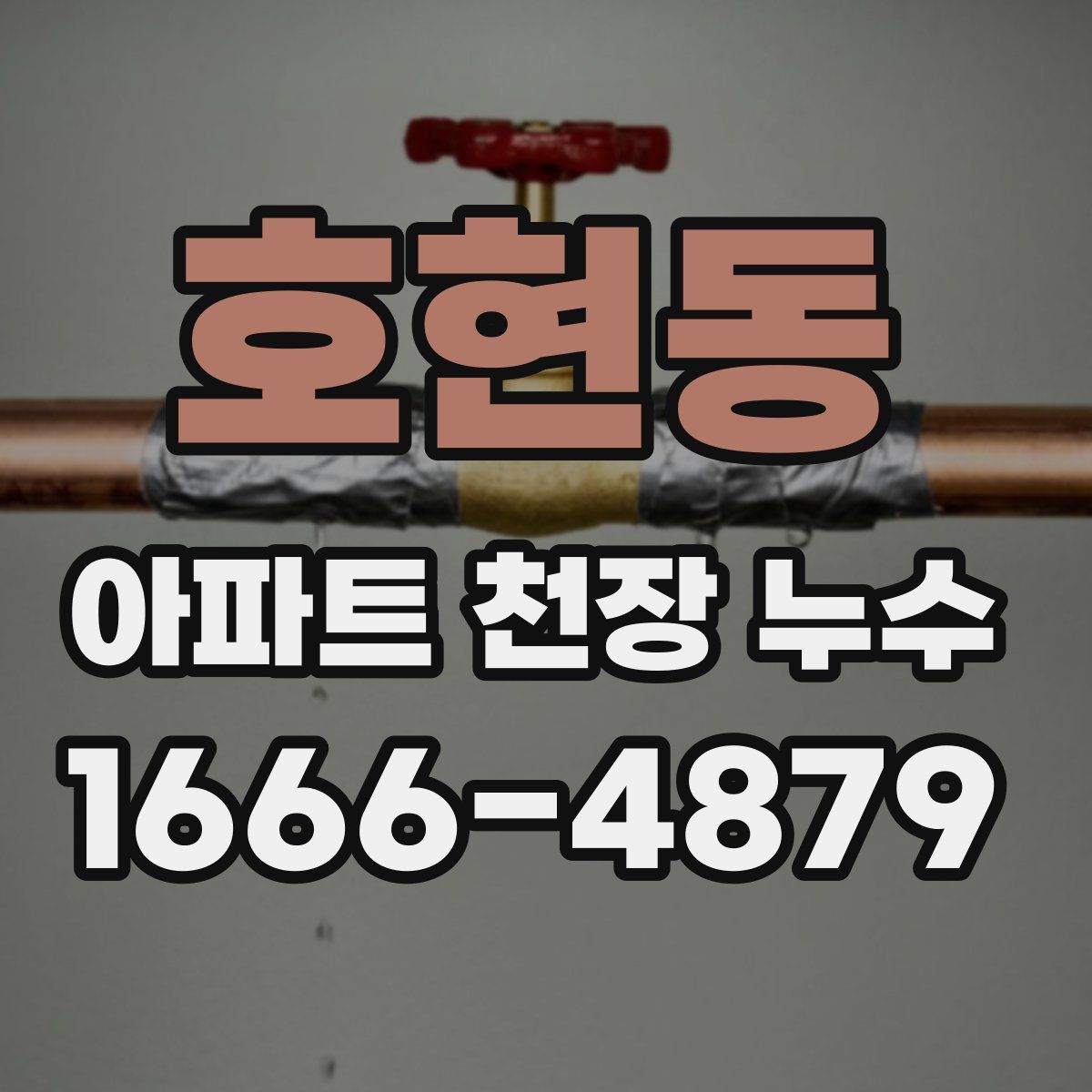 호현동 아파트 천장 누수