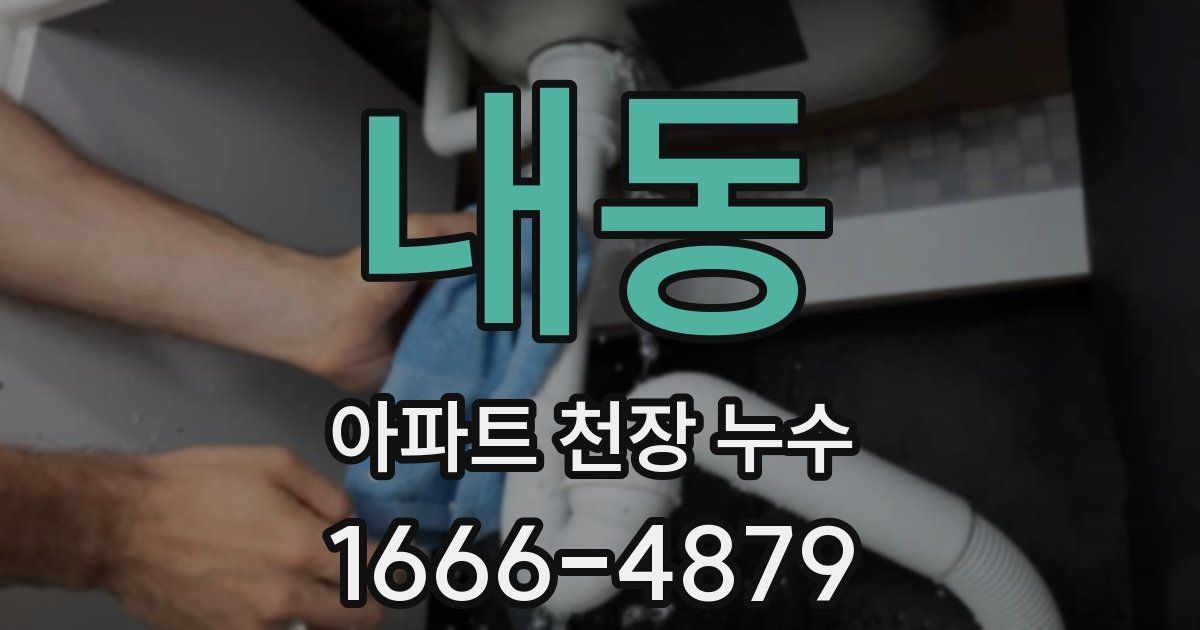 내동 아파트 천장 누수