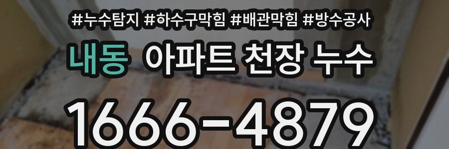 내동 아파트 천장 누수