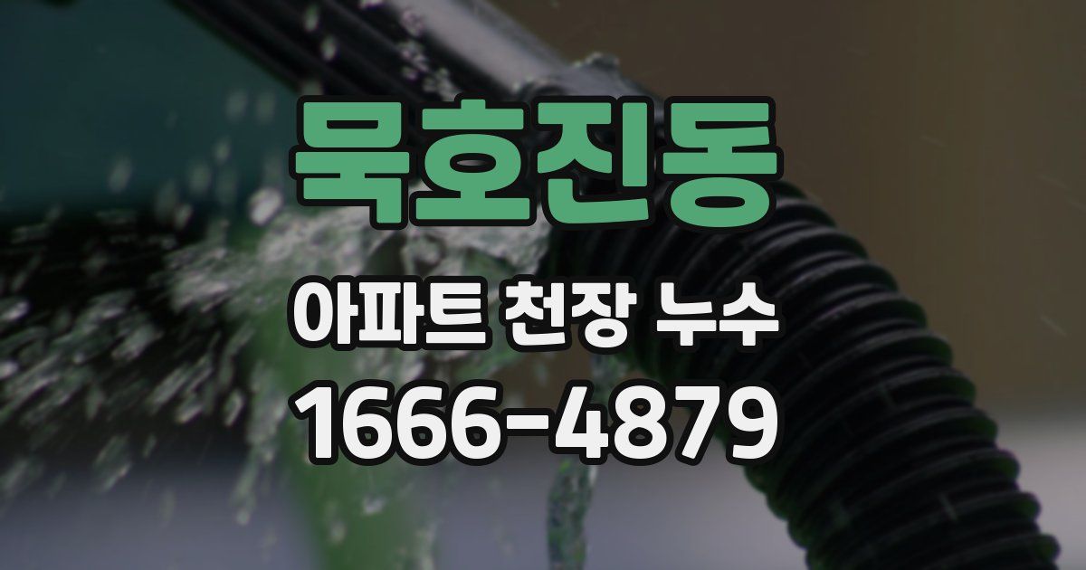 묵호진동 아파트 천장 누수