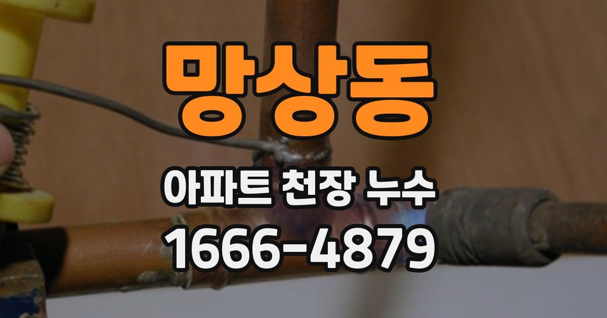 망상동 아파트 천장 누수