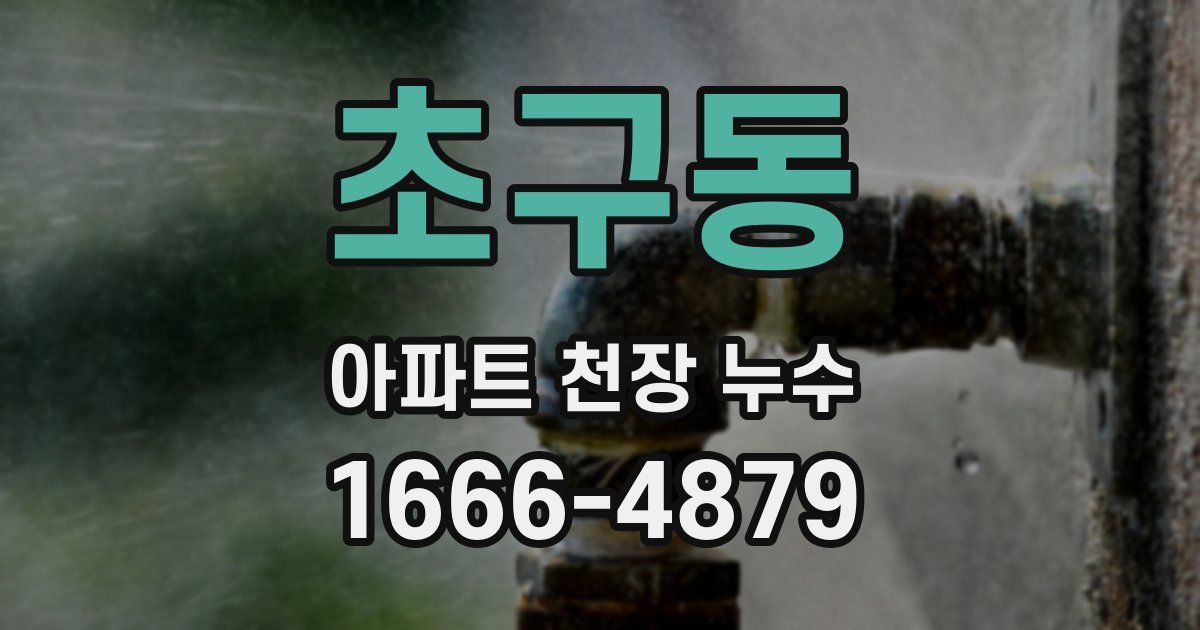 초구동 아파트 천장 누수