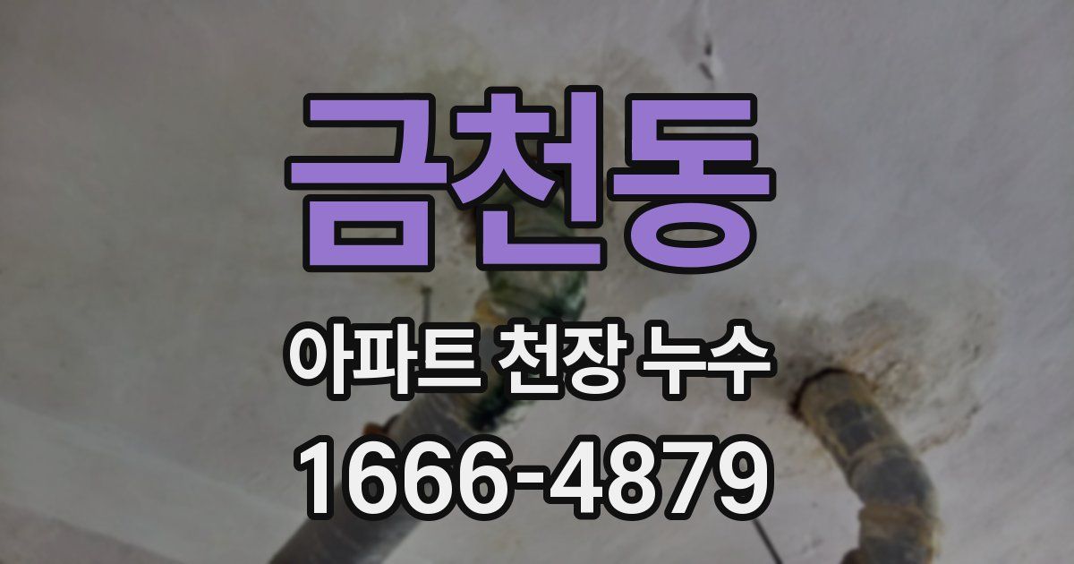 금천동 아파트 천장 누수