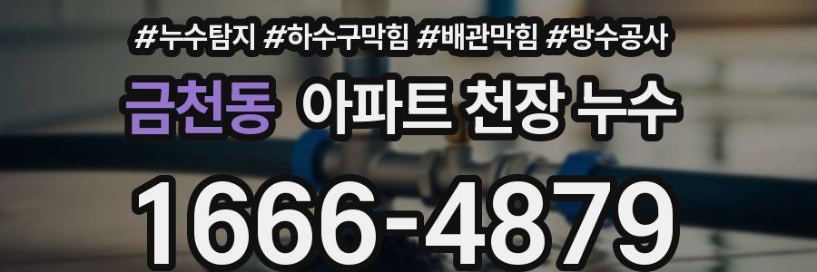 금천동 아파트 천장 누수