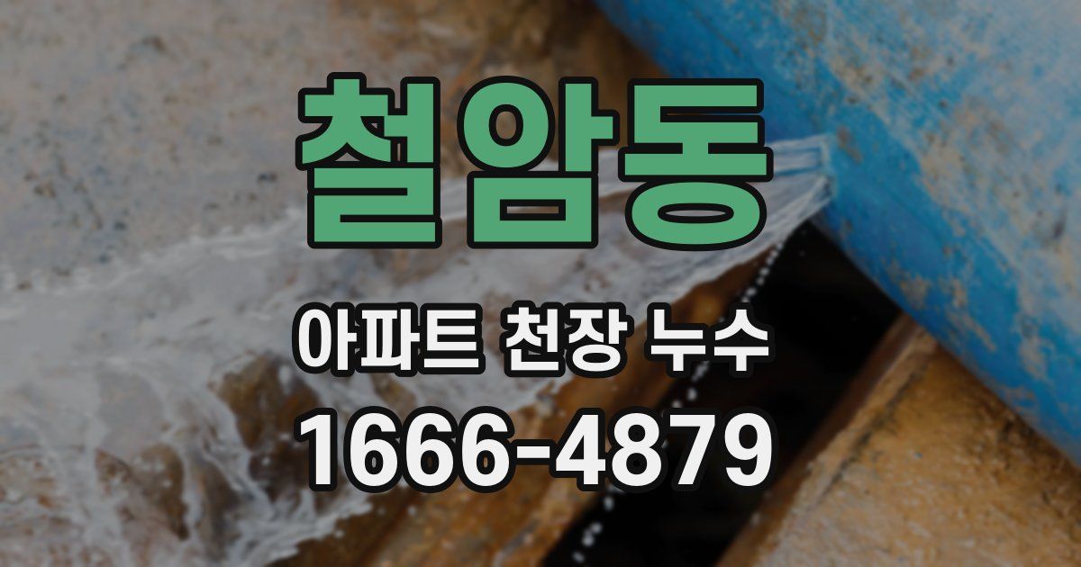 철암동 아파트 천장 누수