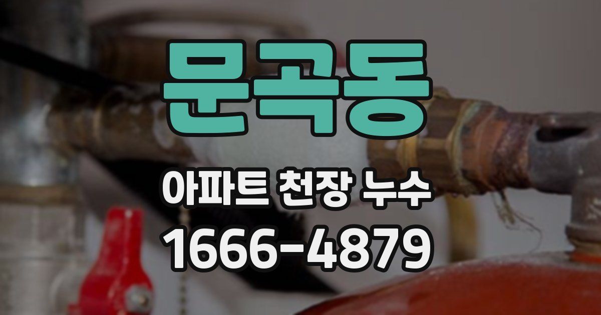 문곡동 아파트 천장 누수