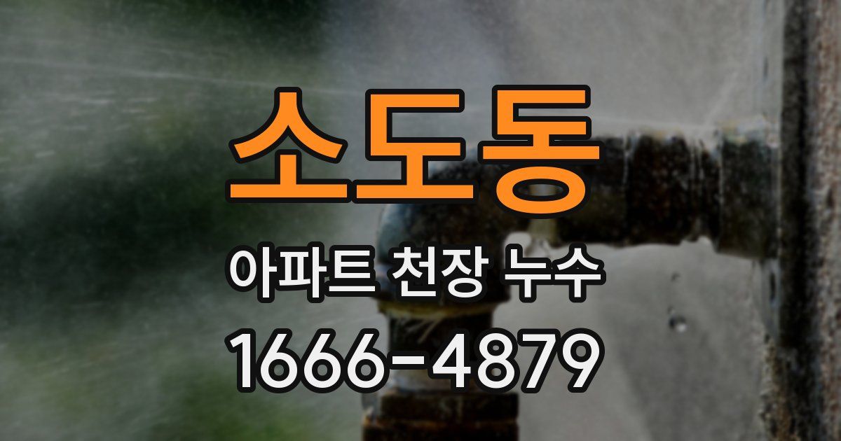 소도동 아파트 천장 누수