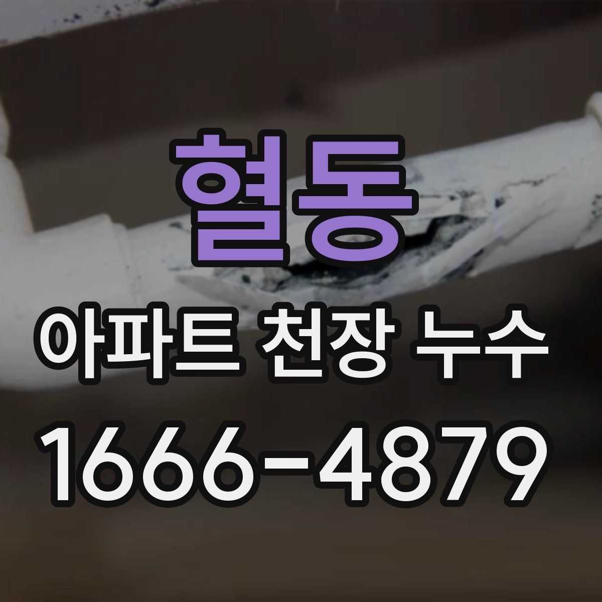 혈동 아파트 천장 누수