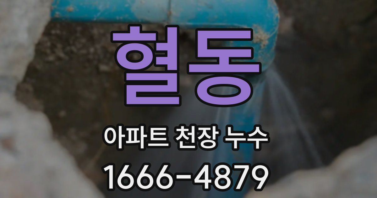 혈동 아파트 천장 누수