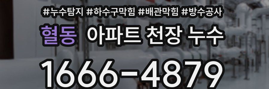 혈동 아파트 천장 누수
