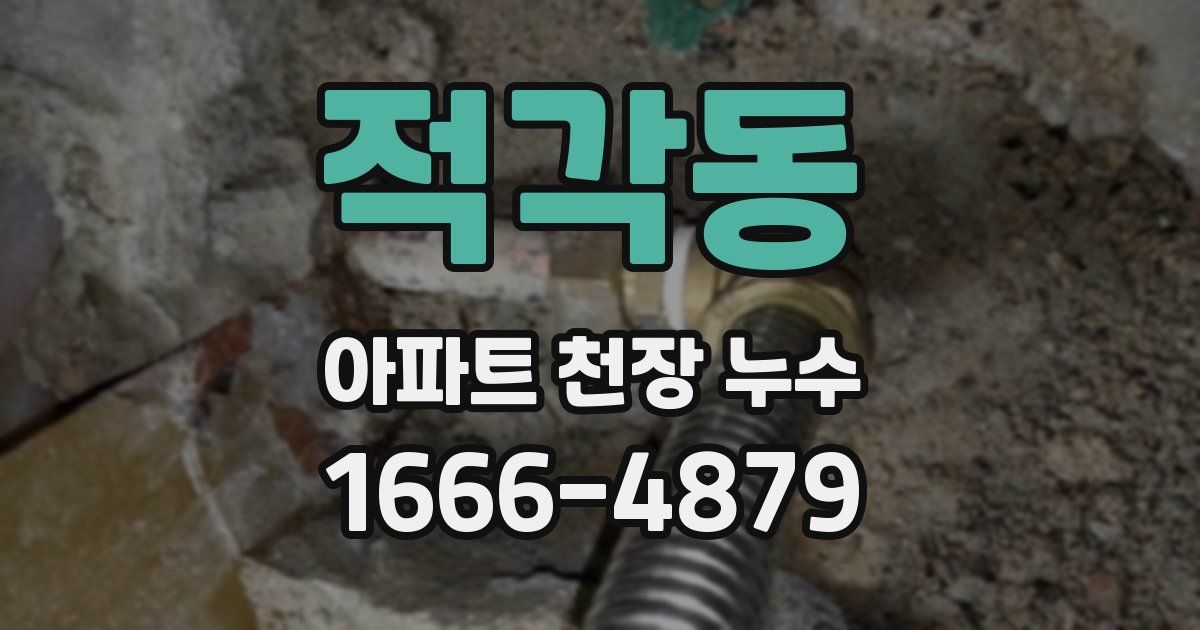 적각동 아파트 천장 누수