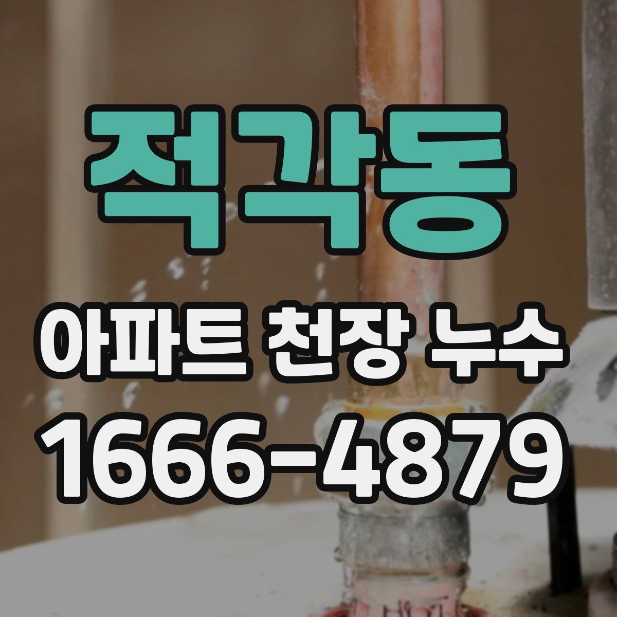 적각동 아파트 천장 누수