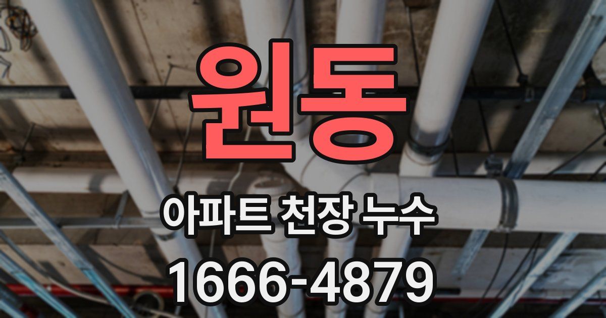 원동 아파트 천장 누수