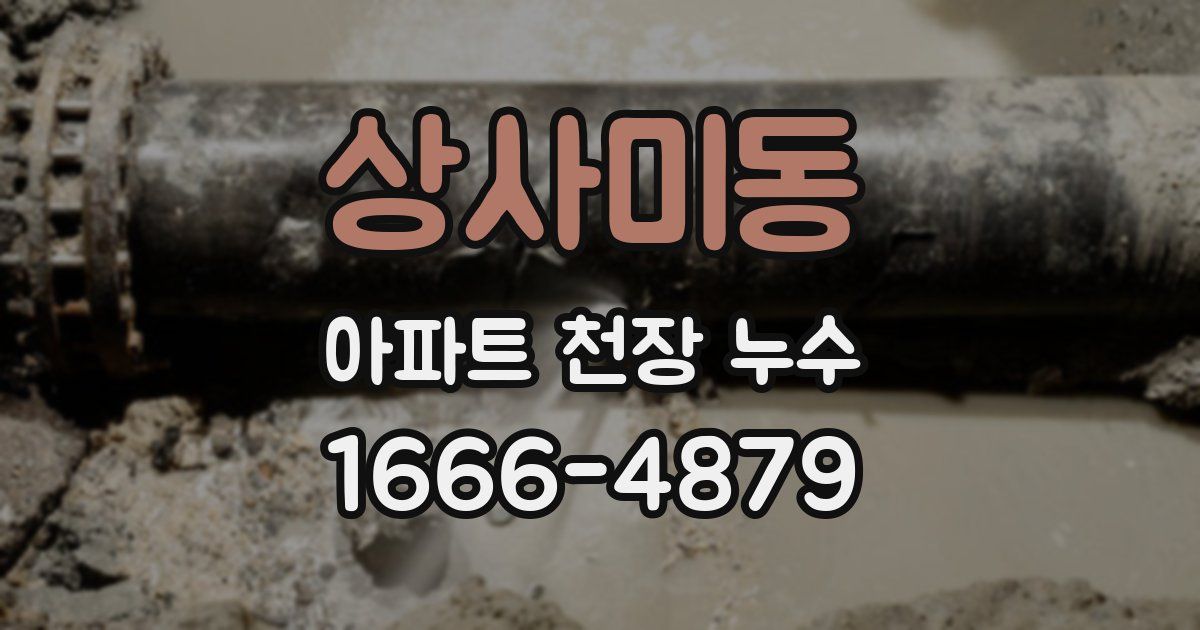 상사미동 아파트 천장 누수