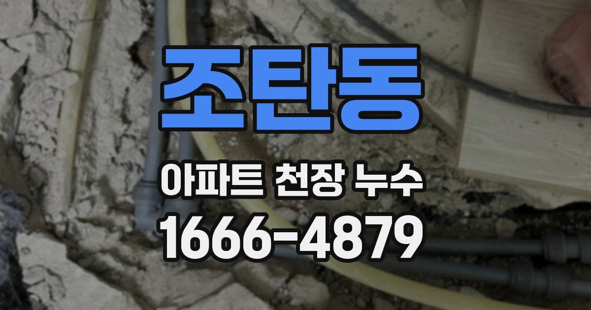 조탄동 아파트 천장 누수