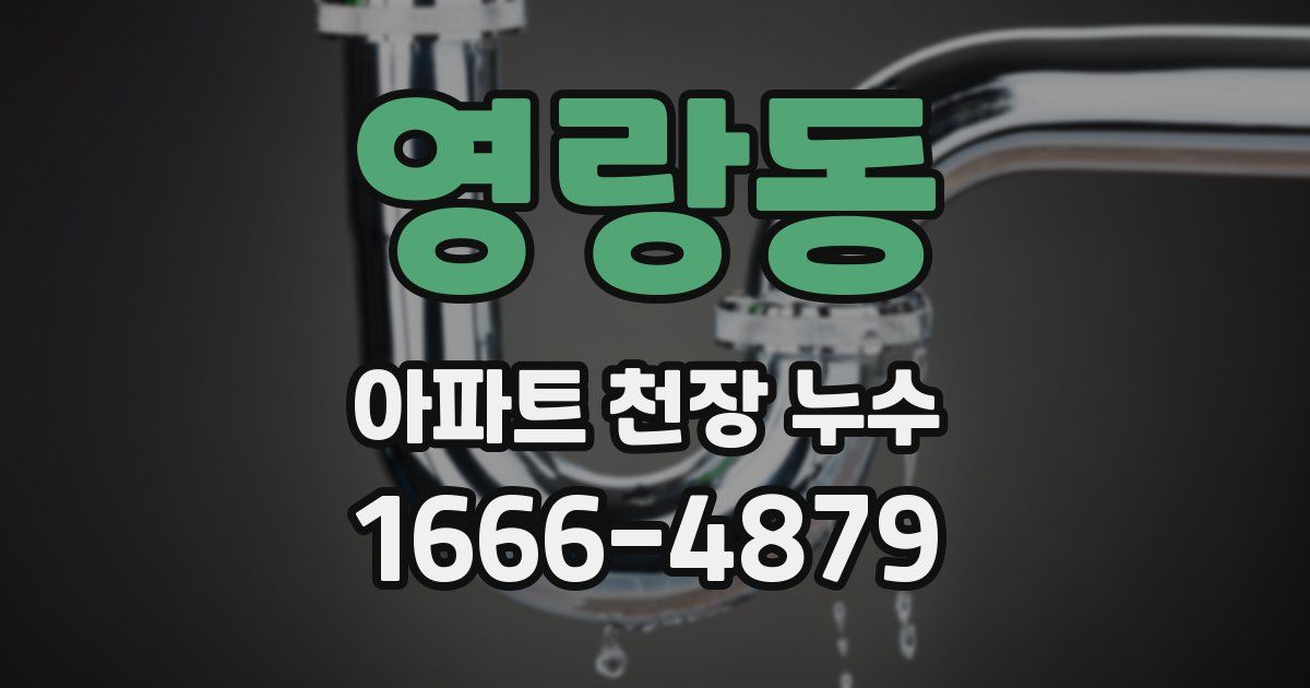 영랑동 아파트 천장 누수