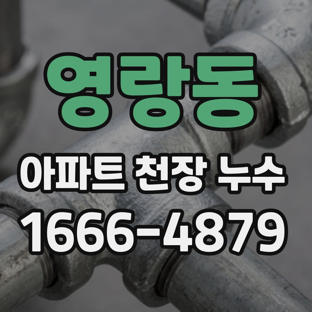 영랑동 아파트 천장 누수