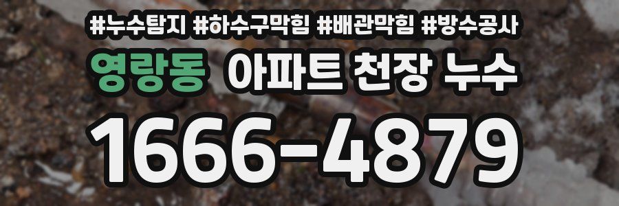 영랑동 아파트 천장 누수