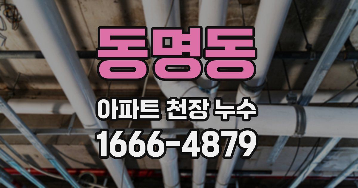 동명동 아파트 천장 누수