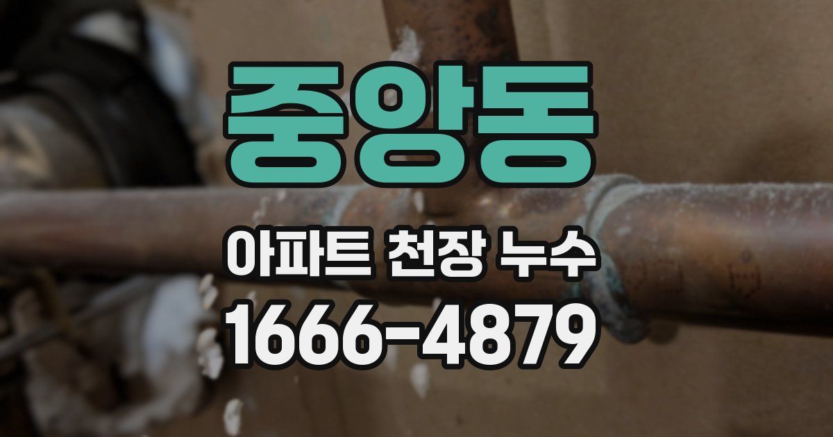 중앙동 아파트 천장 누수