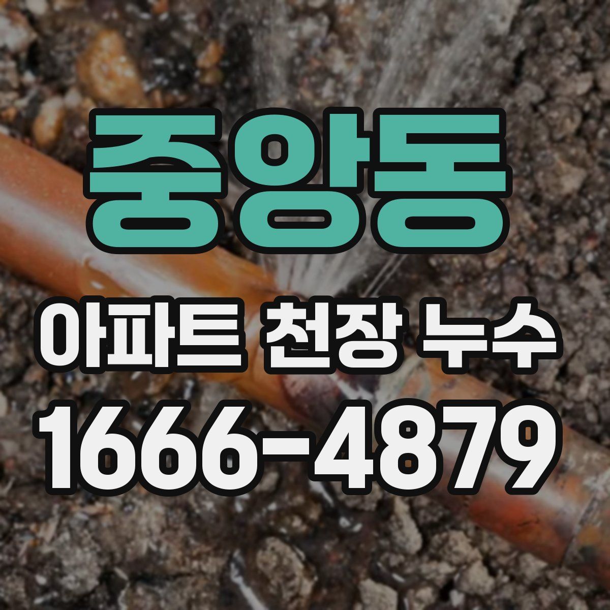 중앙동 아파트 천장 누수
