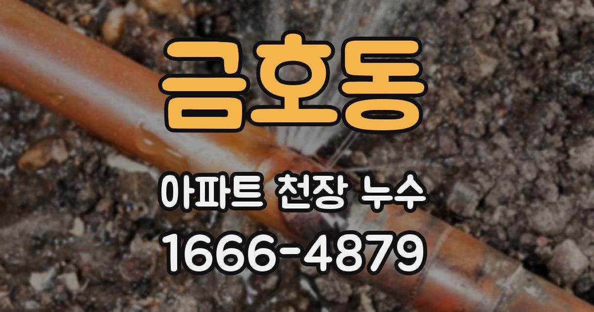 금호동 아파트 천장 누수