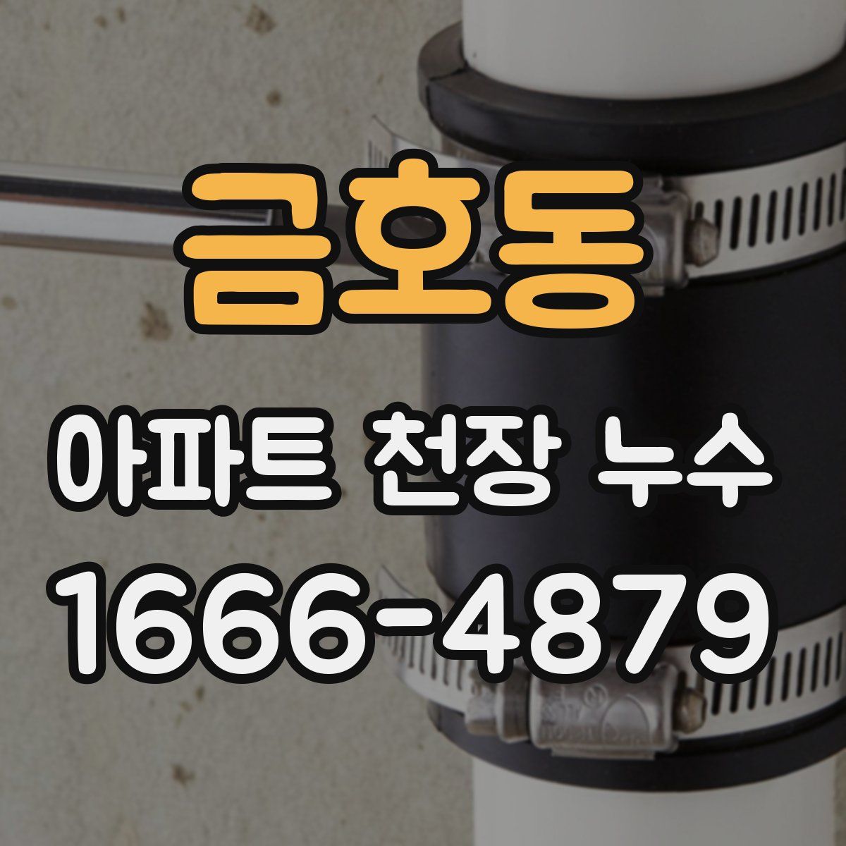 금호동 아파트 천장 누수