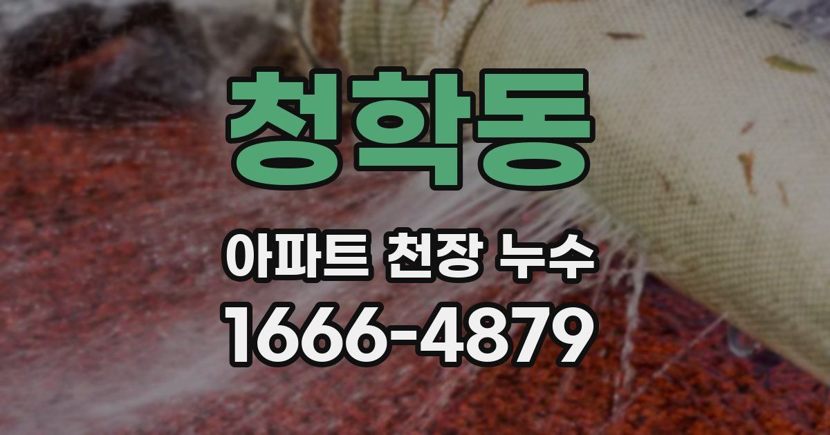 청학동 아파트 천장 누수