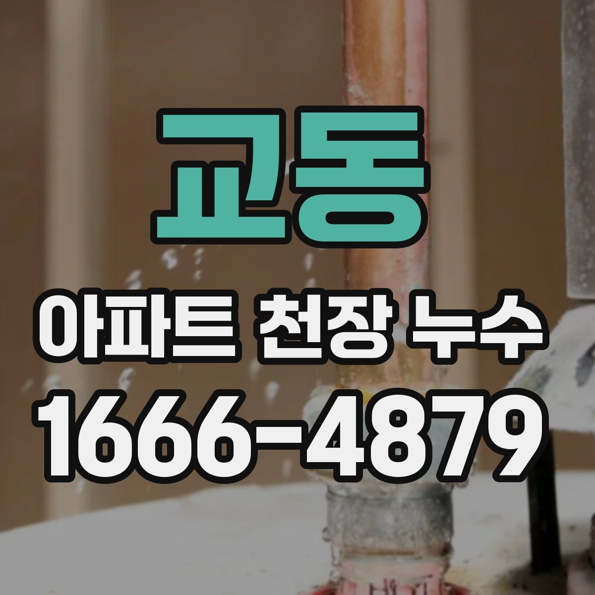 교동 아파트 천장 누수