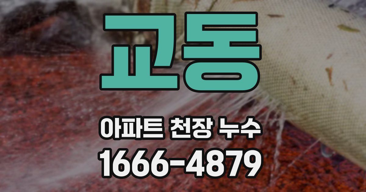 교동 아파트 천장 누수